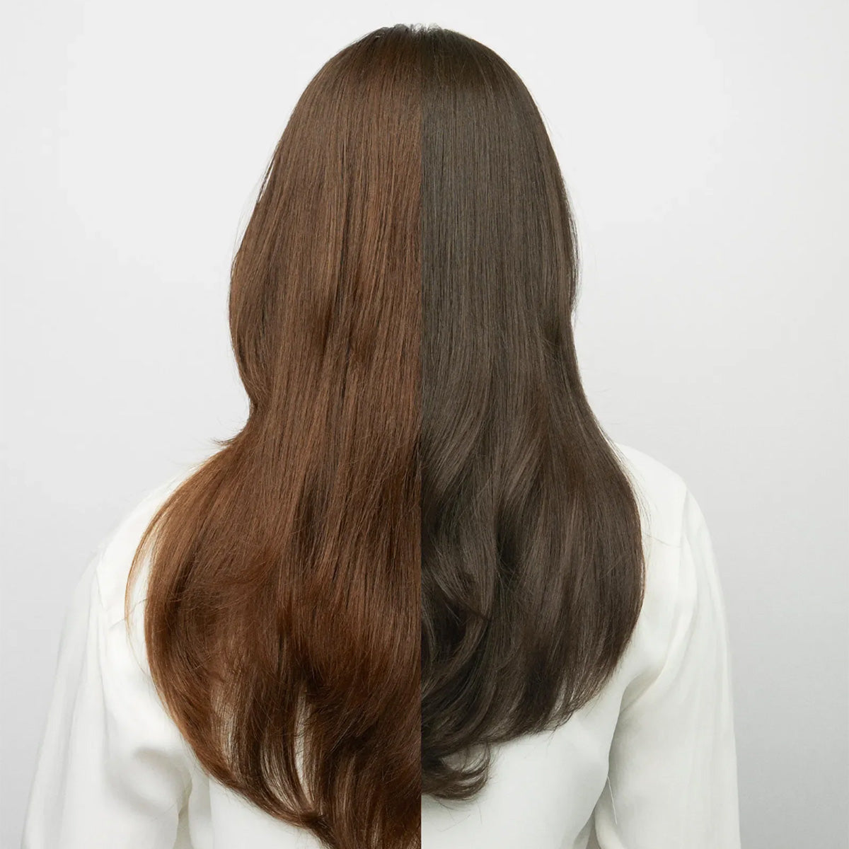 Masque de couleur Ash Brown | REF Stockholm