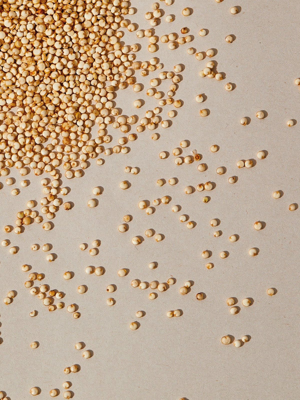 Protéine de Quinoa bio pour le soin des cheveux