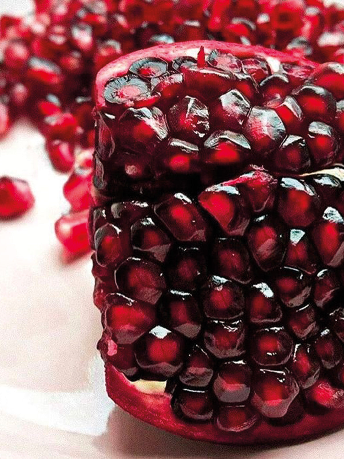 Ingrédients de la gamme Fusion Intense Pro d'Urban Keratin pour les cheveux déshydratés